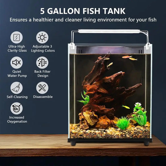 5 Gallon Fish Tank Starter Kit, Small Aquarium with Filter and Adjustable 3 Color Lighting Self Cleaning Fish Bowl Rimless Aquar