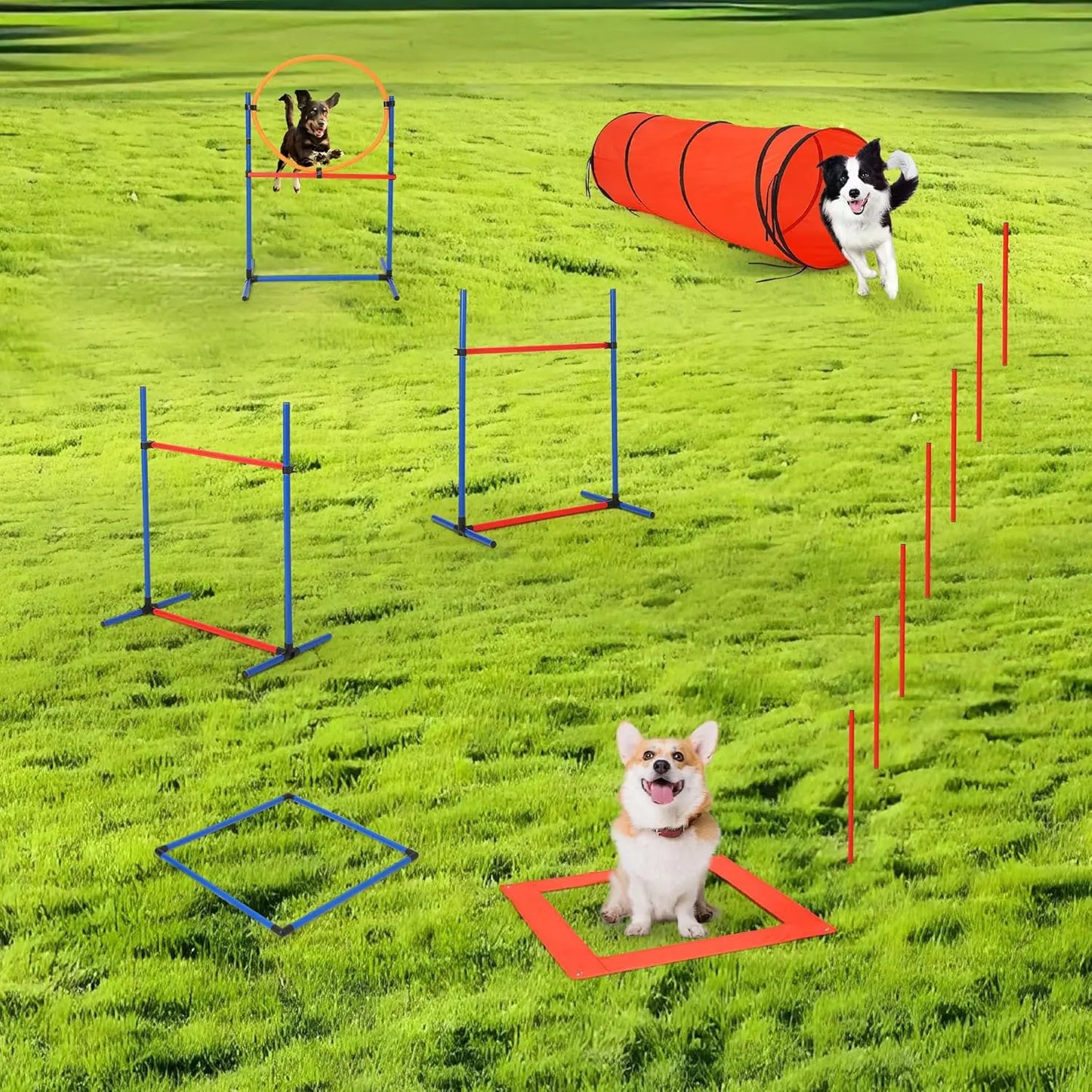Dog Agility Training Equipment, 87-Piece Dog Obstacle Course Training Starter Kit Pet Outdoor Game with Tunnel, Agility Hurdle,