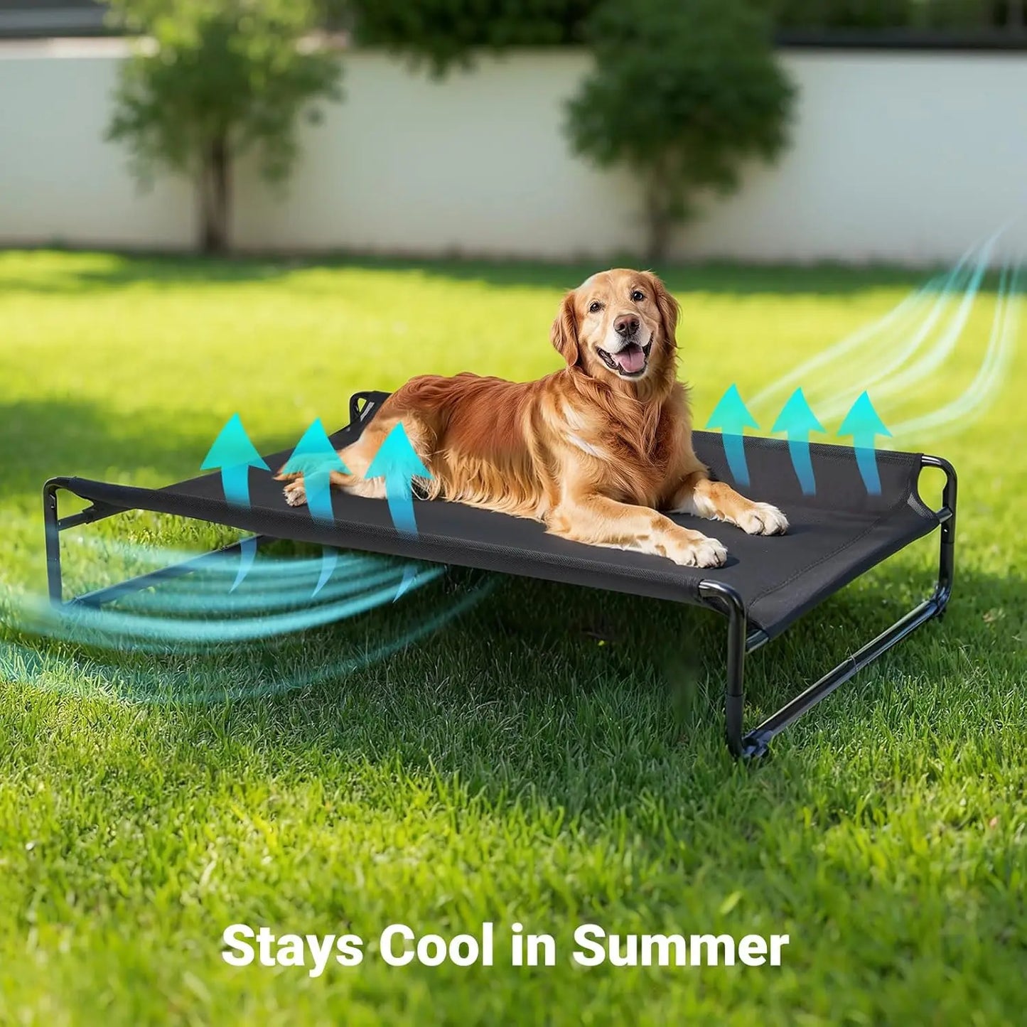 Elevated Cooling Dog Bed for Large Breeds, Portable Pet Cot with Breathable Mesh and Non-Slip Feet, Black