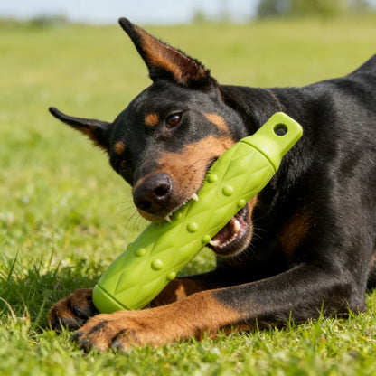 Dogs Biting Stick Chew Toy