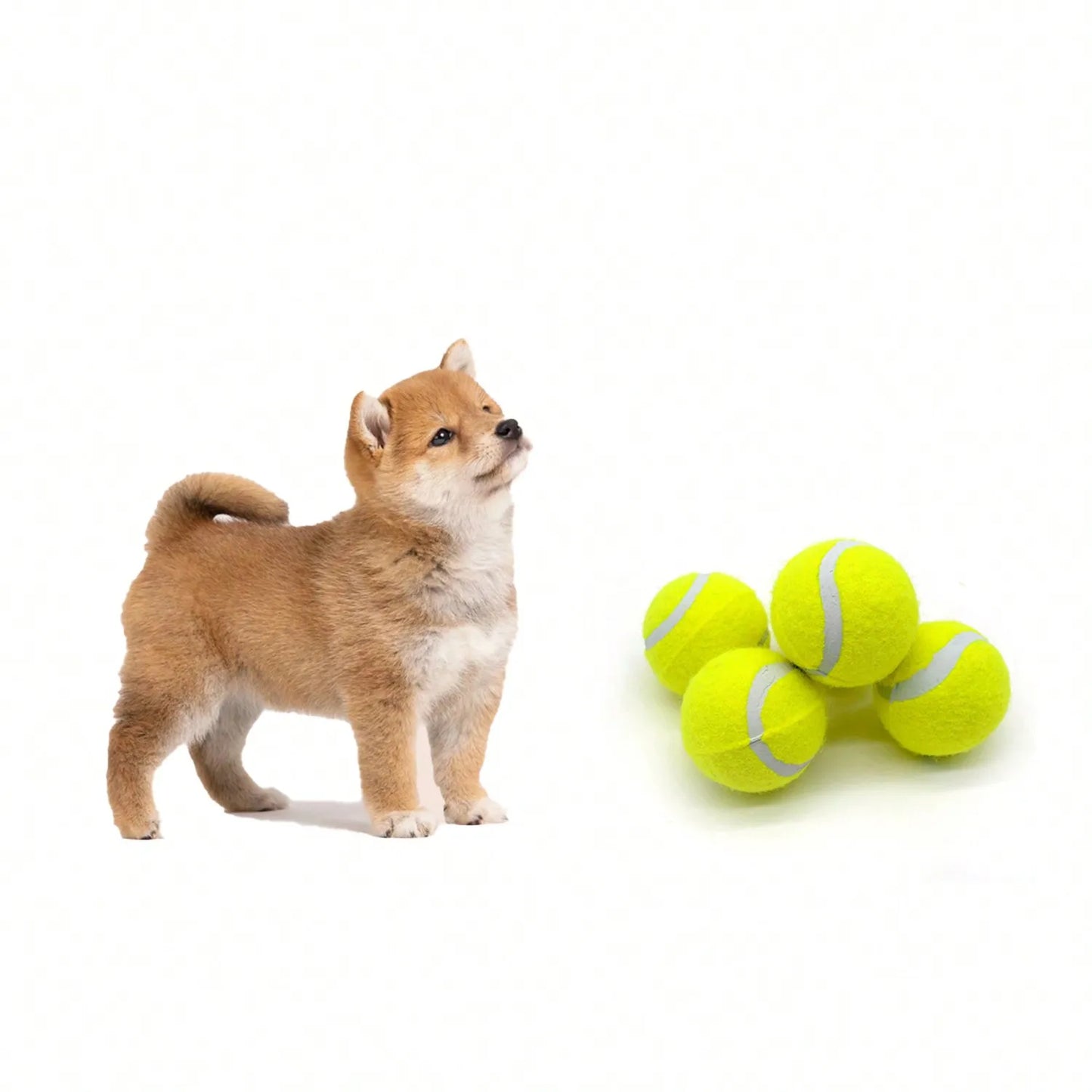 4pcs Training Interactive Dog Tennis Balls High Stretch Rubber For Small & Medium Breeds Equipment Not Included