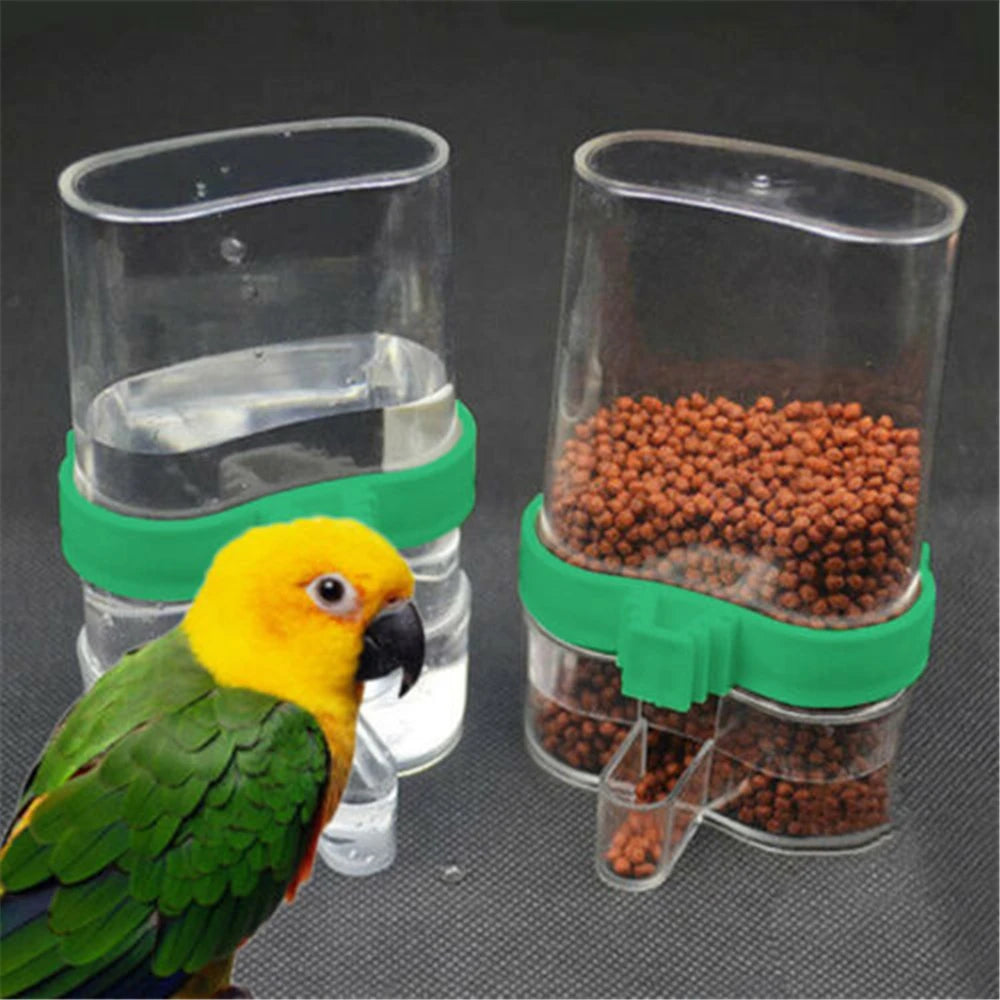 Parrot Bird Feeder Food Water Feeding Large Plastic Automatic Drinker Pet Parrot
