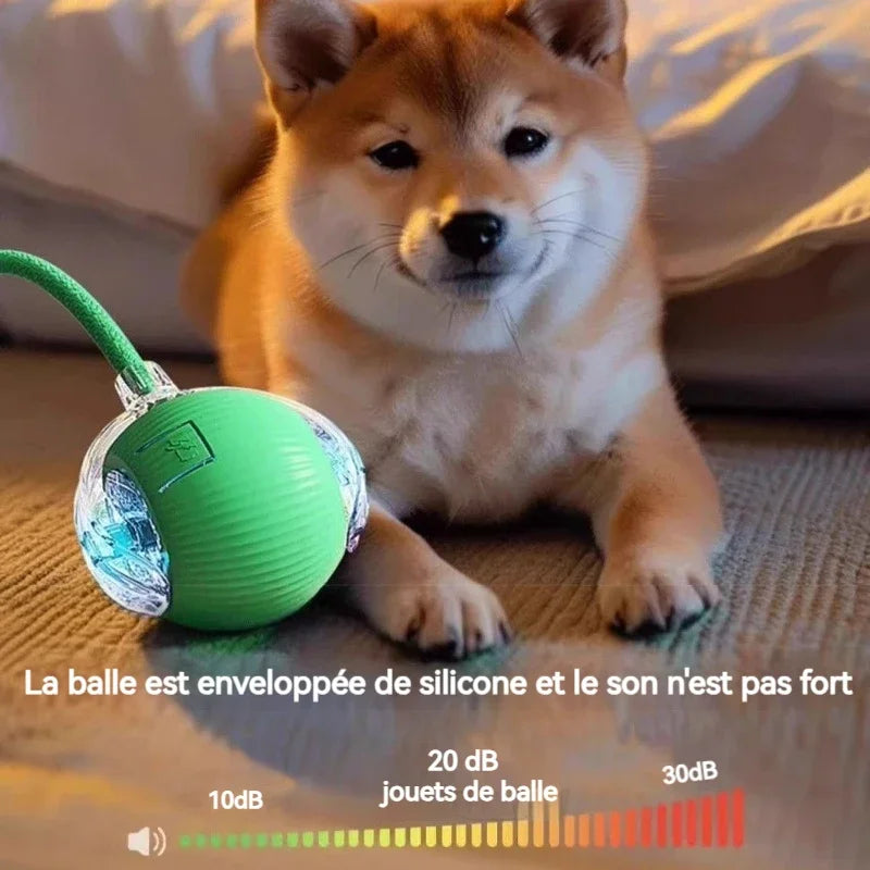 New Dog Interactive Ball Toy, Automatic Rolling Dog Ball, Rechargeable, Smart Puppy Toy