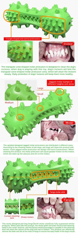 Durable Dog Chew Toys for Aggressive Chewers – Teeth Cleaning, Multiple Colors