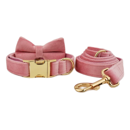 Velvet Collar Free Engrave Dog Collar  & Leash - different types