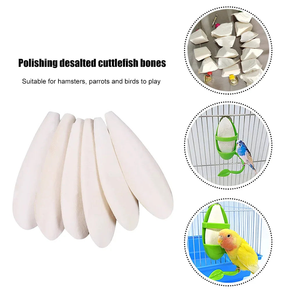 1-5Pcs Bird Cuttle Bone Pet Grinding Cuttlefish Bone Natural Parrot Chew Toy Chewing