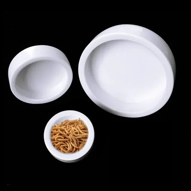 Ceramic Aquarium Pet Reptile Feeder Bowl Basin