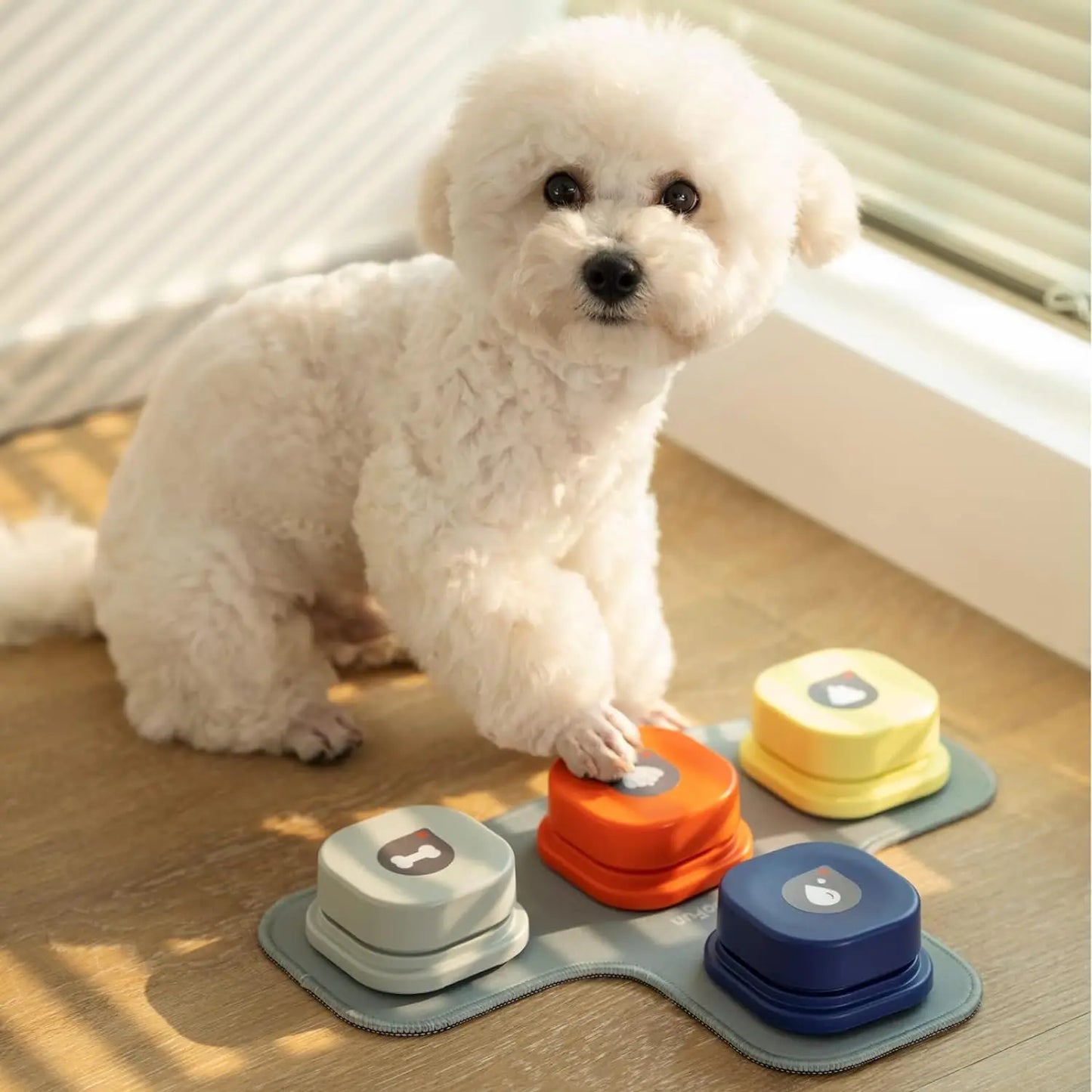 Mewoofun Dog Buttons with Rubber Mat, Recordable Dog Talking Buttons - Communication Starter Pack for Dog Training