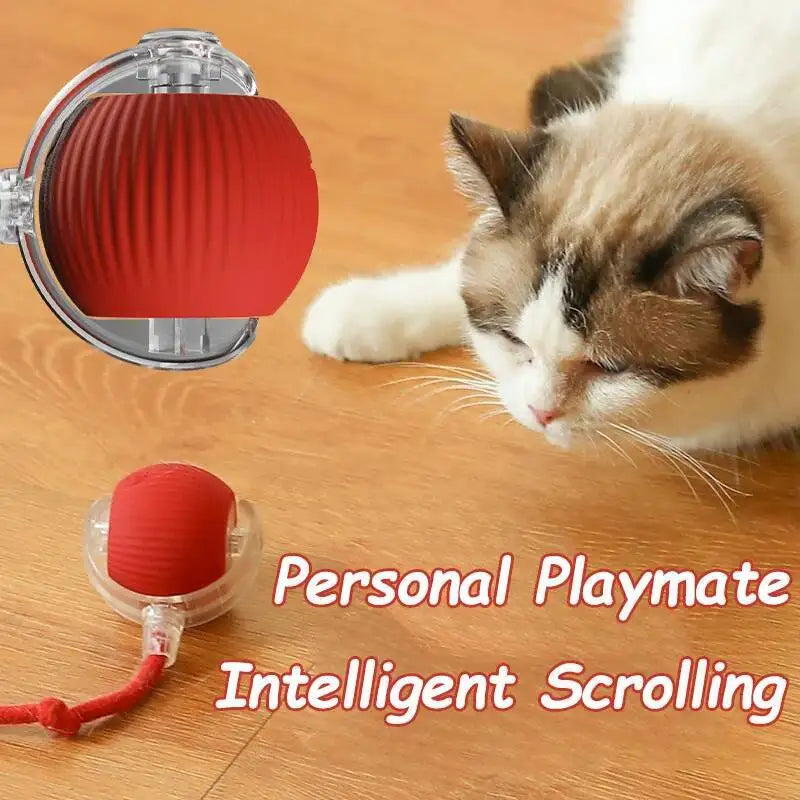 Automatic Rolling Ball Dog Toy – Interactive Self-Moving Pet Toy, Multiple Colors