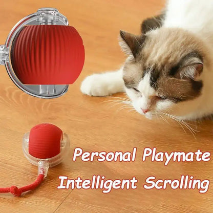 Automatic Rolling Ball Dog Toy – Interactive Self-Moving Pet Toy, Multiple Colors