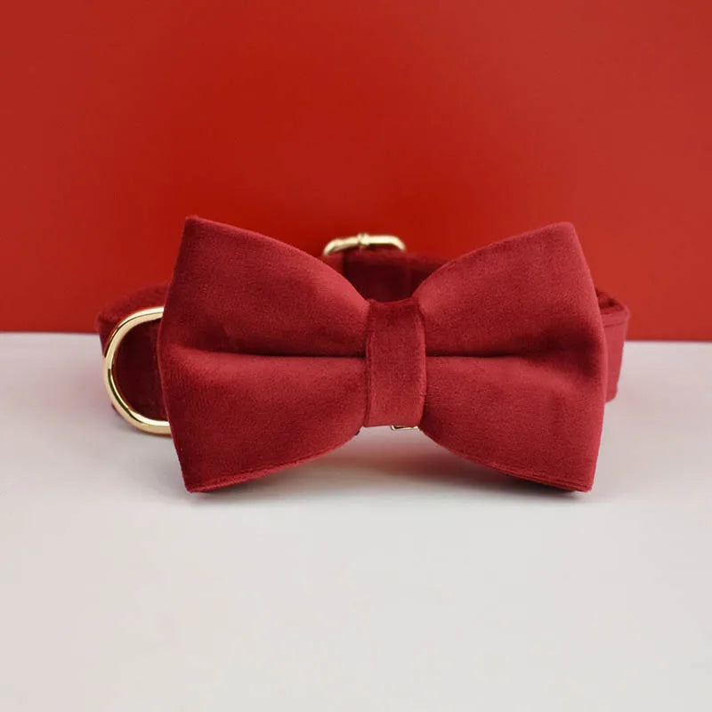 Velvet Collar Free Engrave Dog Collar  & Leash - different types