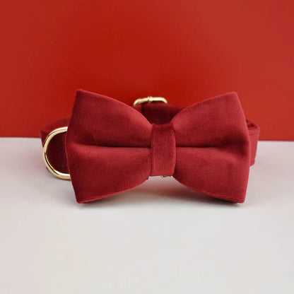 Velvet Collar Free Engrave Dog Collar  & Leash - different types