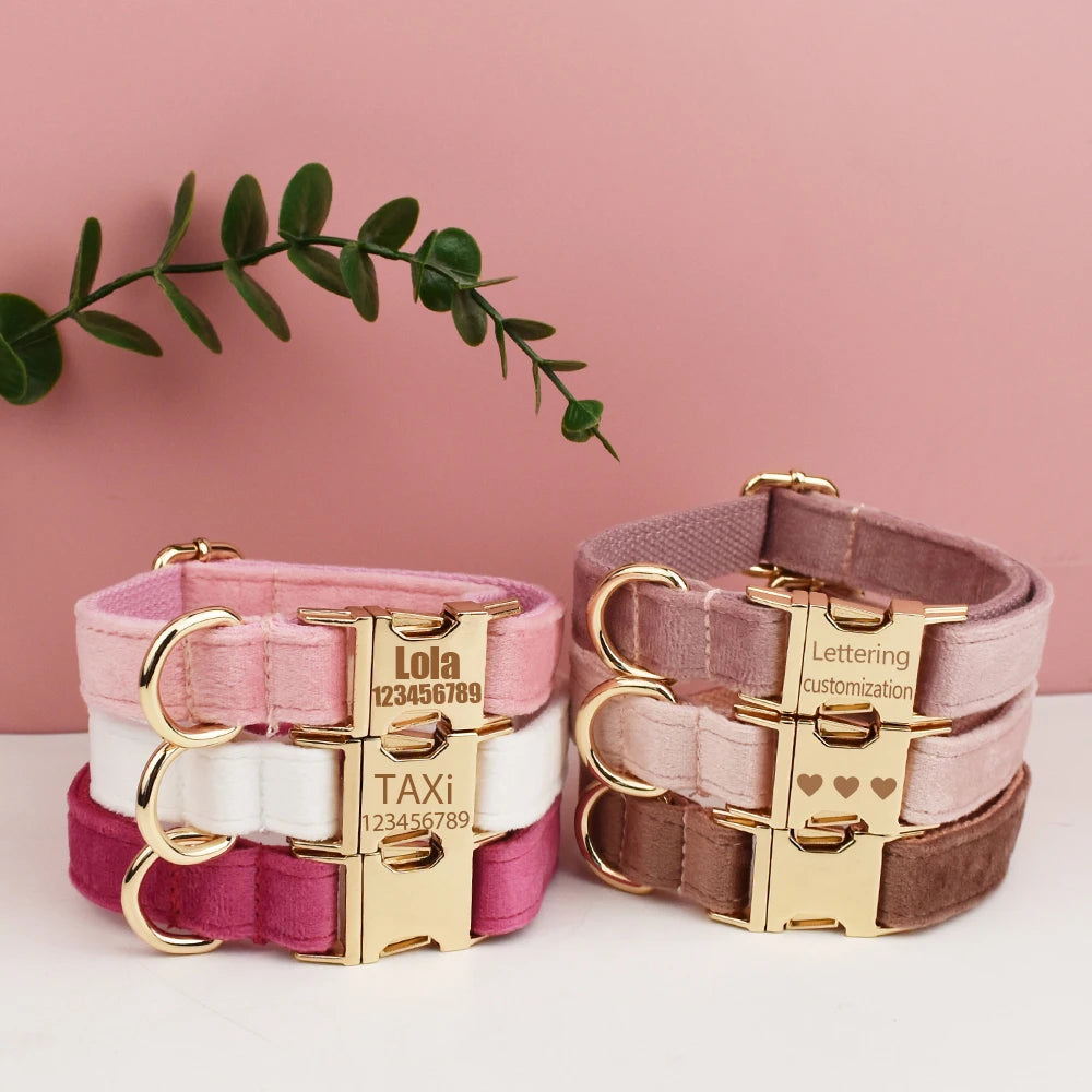 Velvet Collar Free Engrave Dog Collar  & Leash - different types