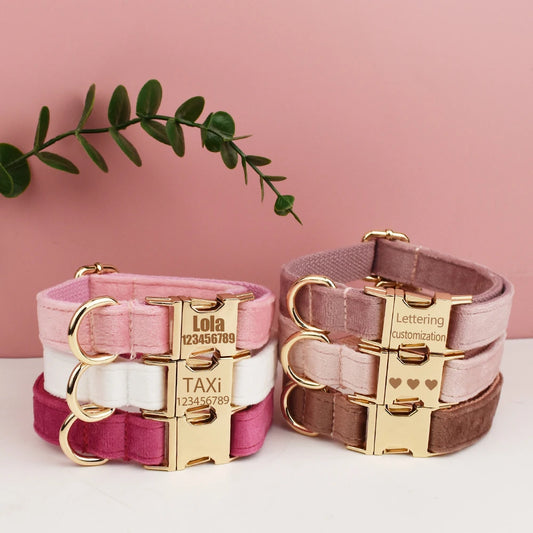 Velvet Collar Free Engrave Dog Collar  & Leash - different types