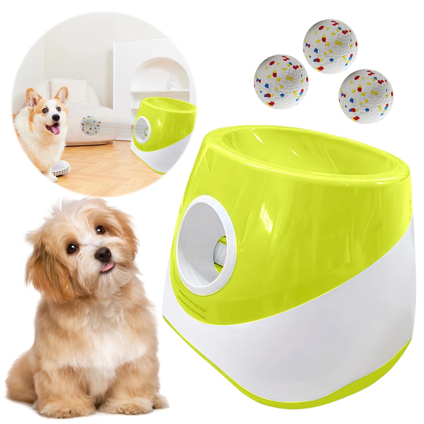 Interactive Automatic Ball Launcher with 3 Tennis Balls Ball Thrower Machine for Small and Medium-Sized Dogs