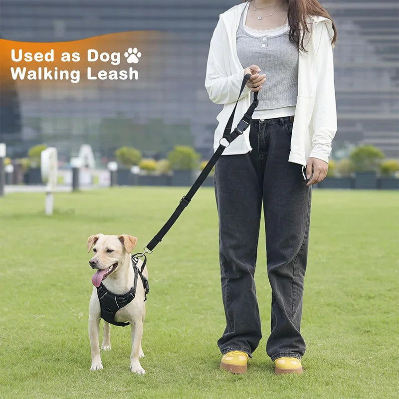 Adjustable 2-in-1 Pet Car Seat Belt/Leash, Nylon Safety Harness for Travel, 8 inches/20cm