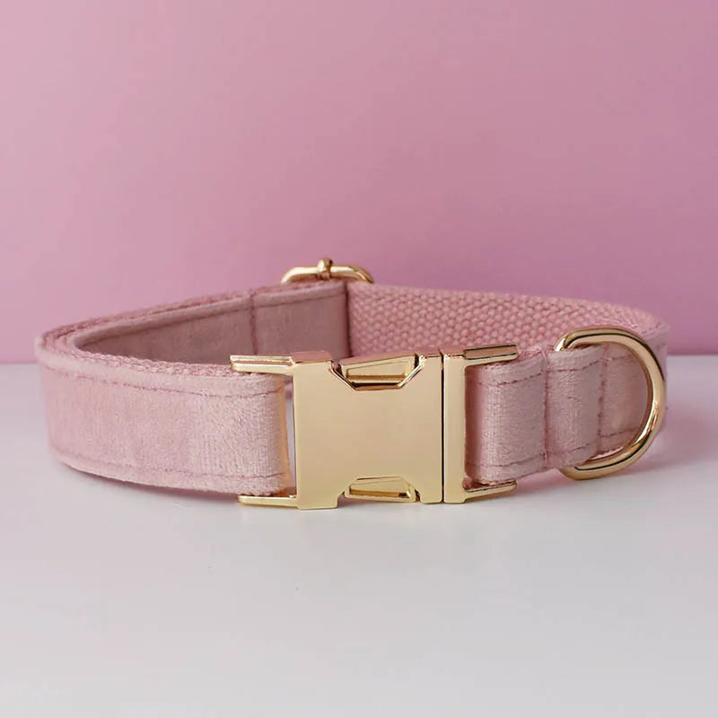 Velvet Collar Free Engrave Dog Collar  & Leash - different types