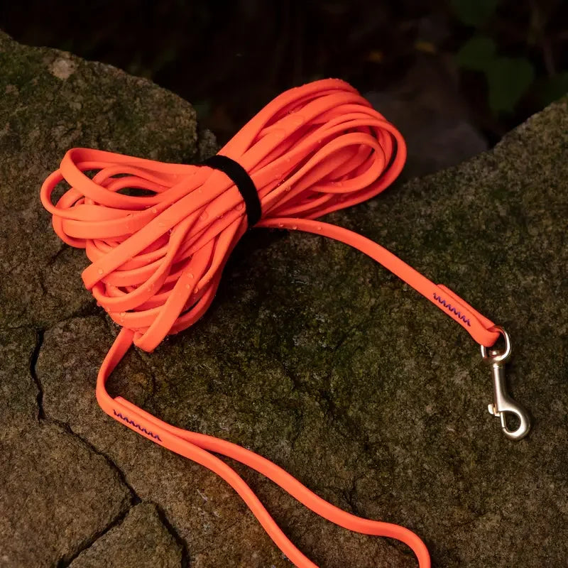 Dog Leash 5ft, 10ft, 20ft, 30ft, Waterproof Dog Leash for Medium and Large Dogs