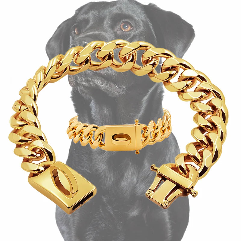 Gold Dog Collar Stainless Steel Metal Pet Choker  - different lengths