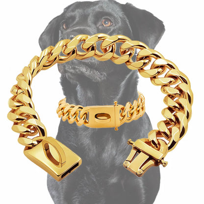 Gold Dog Collar Stainless Steel Metal Pet Choker  - different lengths