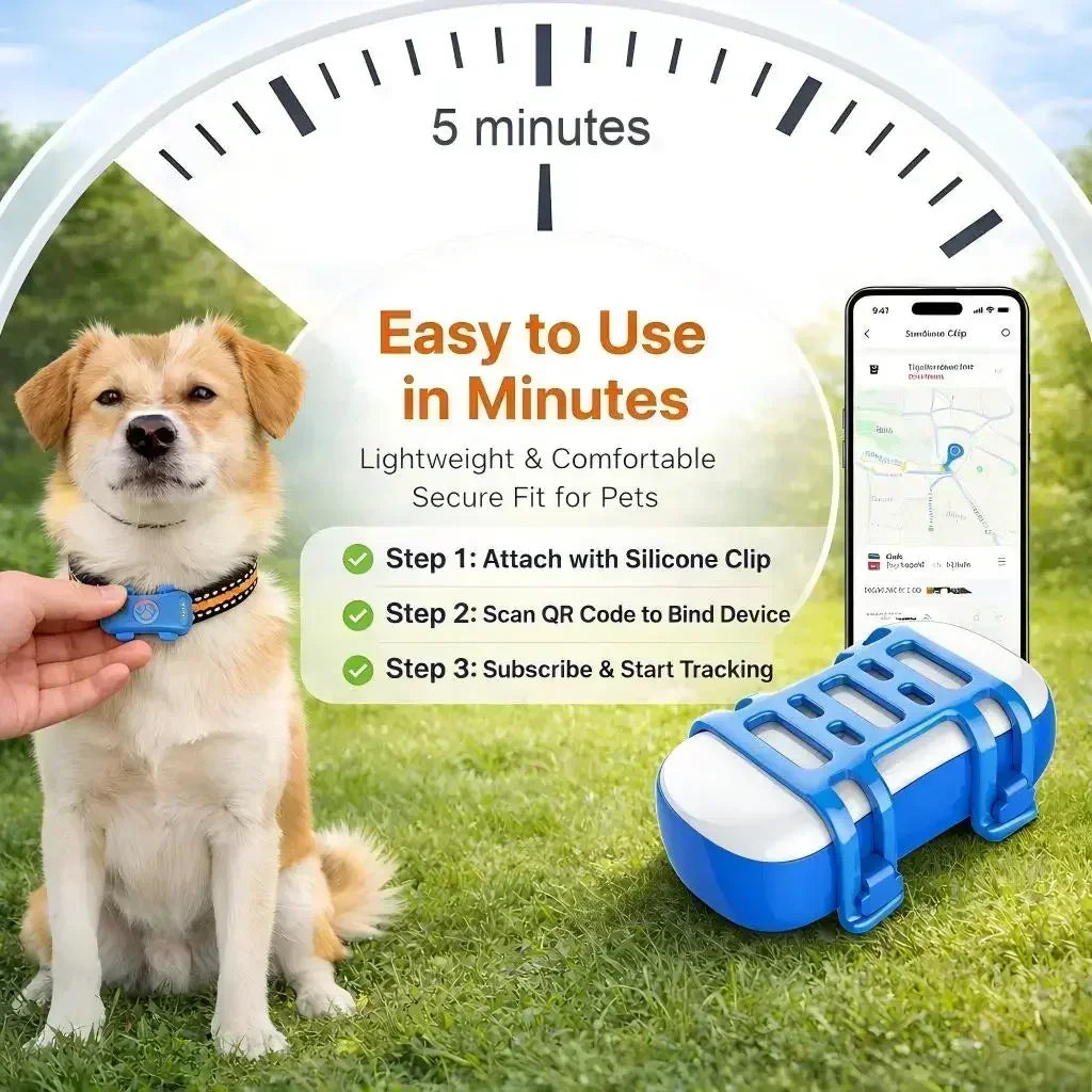 GPS Pet Tracker 4G for Dogs & Cats, Built-in SIM with Real-Time Tracking, WiFi Home Positioning