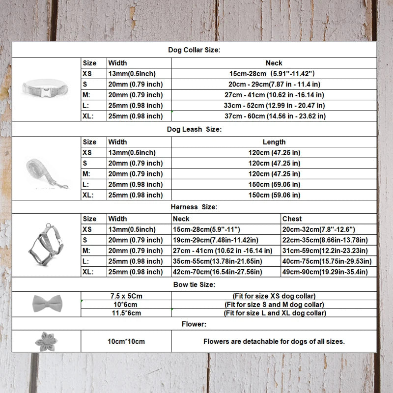 Velvet Collar Free Engrave Dog Collar  & Leash - different types