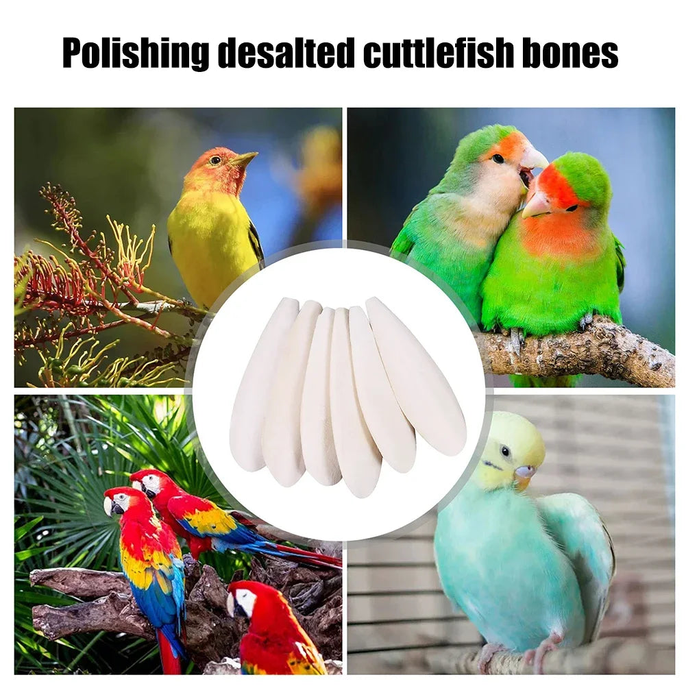 1-5Pcs Bird Cuttle Bone Pet Grinding Cuttlefish Bone Natural Parrot Chew Toy Chewing