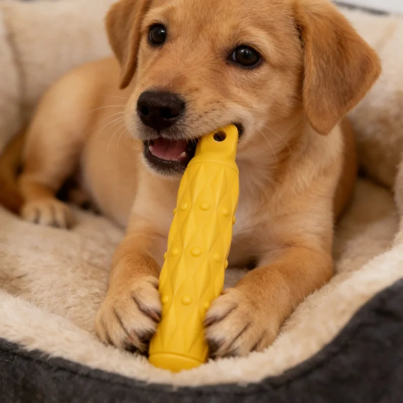 Dogs Biting Stick Chew Toy