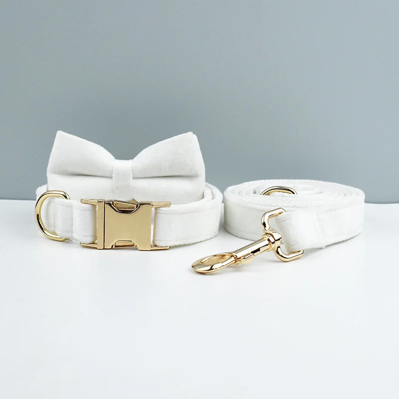 Velvet Collar Free Engrave Dog Collar  & Leash - different types