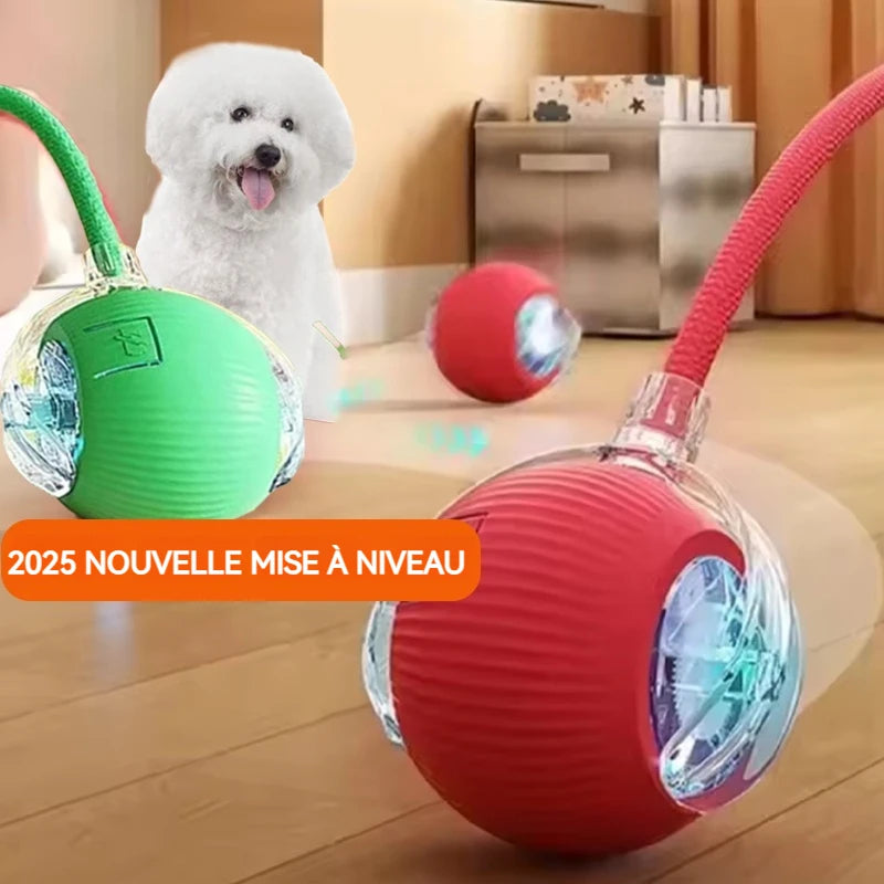 New Dog Interactive Ball Toy, Automatic Rolling Dog Ball, Rechargeable, Smart Puppy Toy