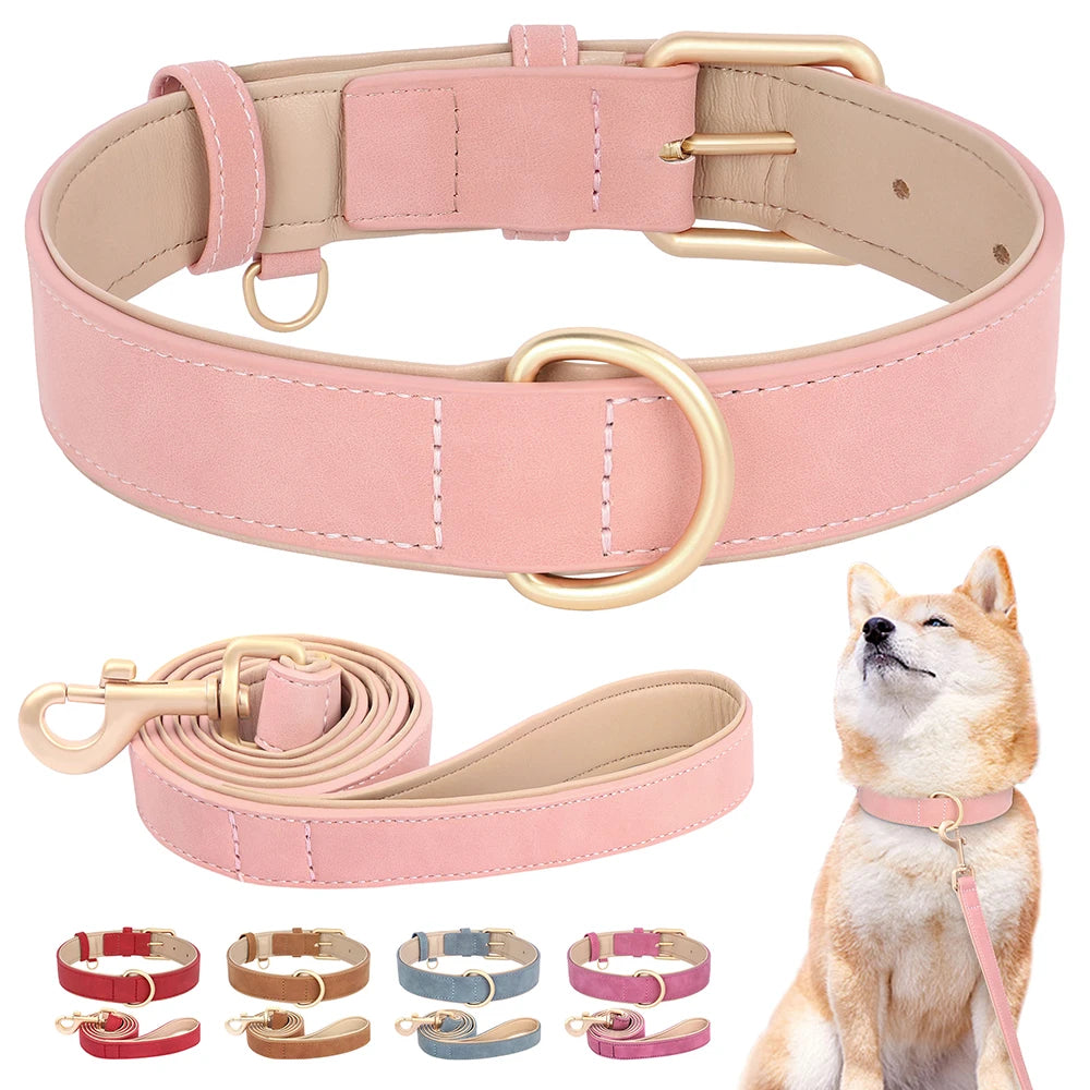 Soft Padded Dog Collar & Leash Set - Various Sizes and Colors