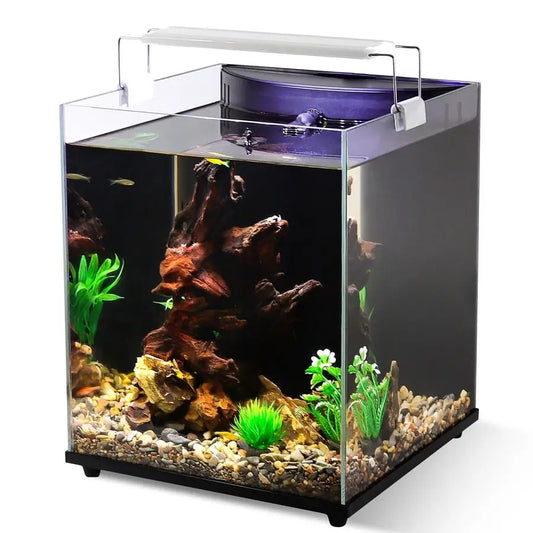 5 Gallon Fish Tank Starter Kit, Small Aquarium with Filter and Adjustable 3 Color Lighting Self Cleaning Fish Bowl Rimless Aquar