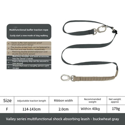 Bungee Buffer Dog Leash Set Anti-Shock - different colors