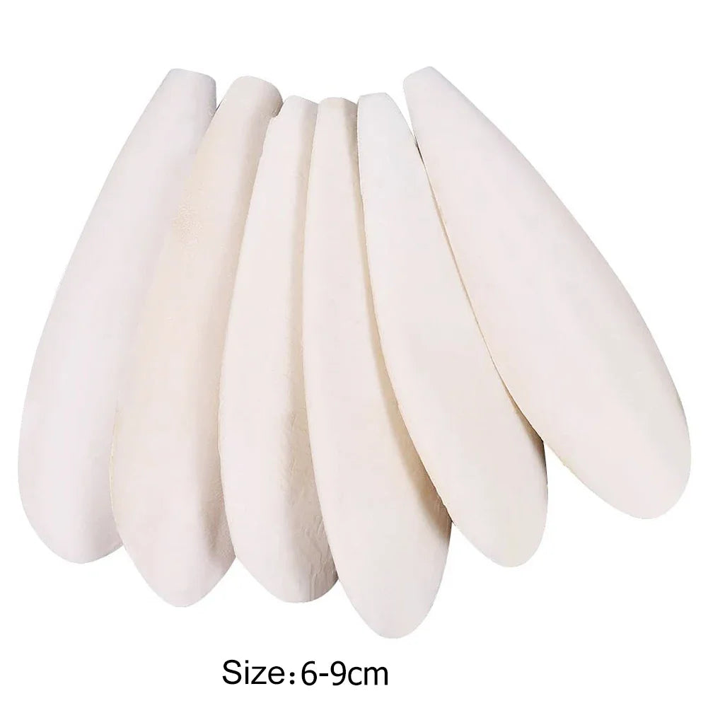 1-5Pcs Bird Cuttle Bone Pet Grinding Cuttlefish Bone Natural Parrot Chew Toy Chewing