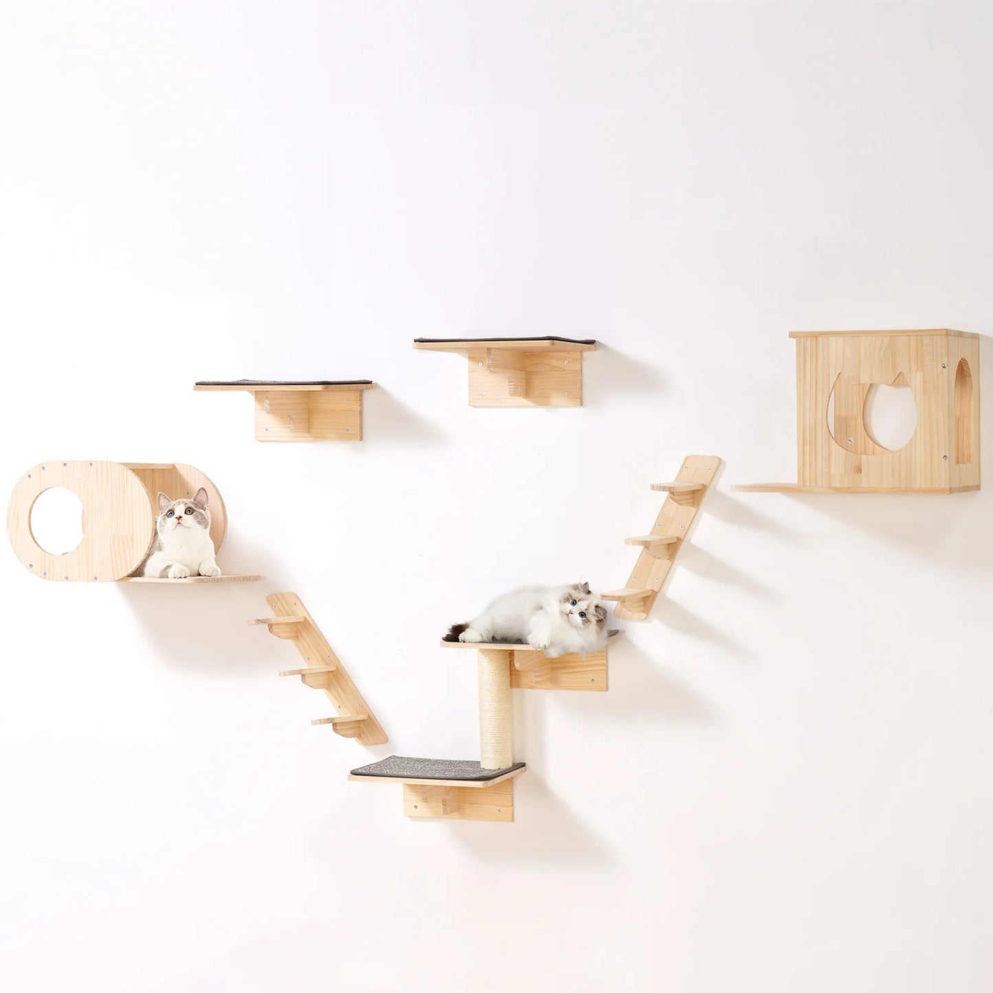 SucceBuy Wall Mounted Cat Shelves, Wall Shelves and Perches with Jumping Boards and Hammocks