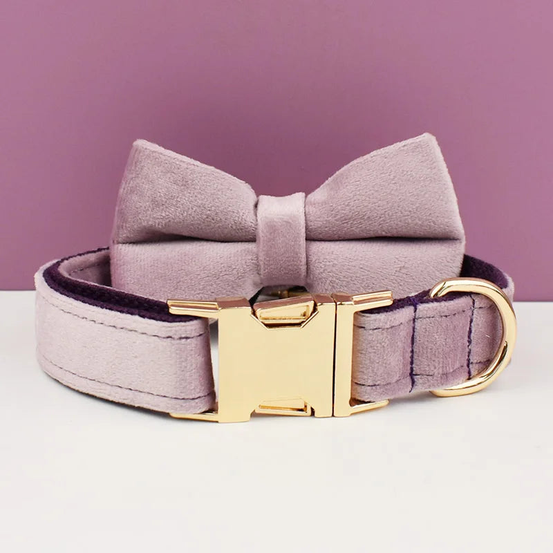 Velvet Collar Free Engrave Dog Collar  & Leash - different types