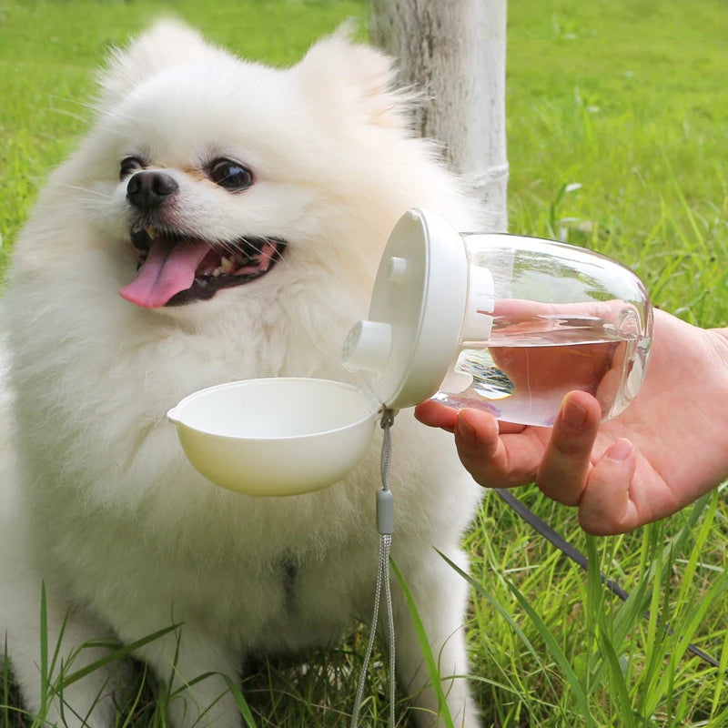 Lightweight Pet Water Bottle Dispenser With Lanyard Puppy Pet Drinker For Dog Accessories Supplies Outdoor Portable Traveling