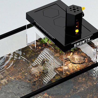 Pet Turtle Basking Area With Ramp