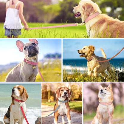 Soft Padded Dog Collar & Leash Set - Various Sizes and Colors