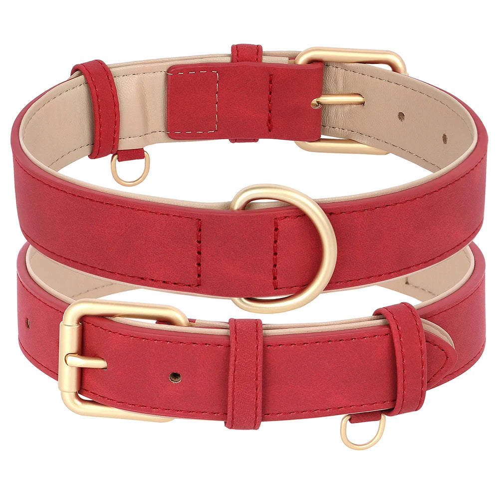 Soft Padded Dog Collar & Leash Set - Various Sizes and Colors