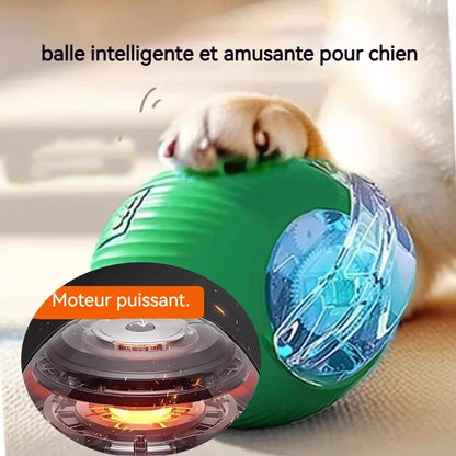 New Dog Interactive Ball Toy, Automatic Rolling Dog Ball, Rechargeable, Smart Puppy Toy