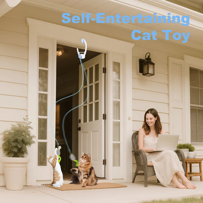 Cat Toys- Electric Door Hanging Cat Toy, Interactive, USB Rechargeable Toy