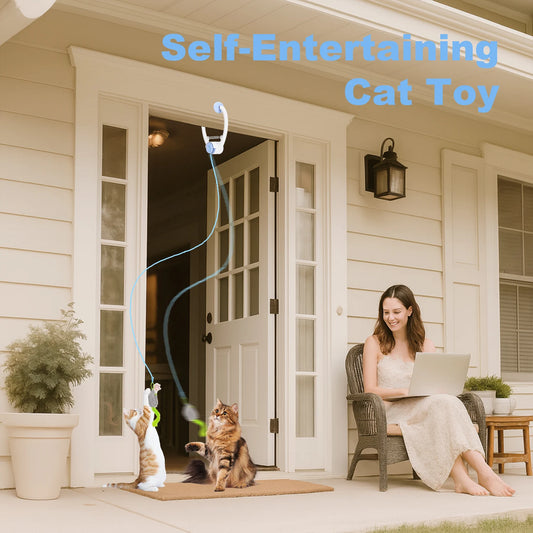 Cat Toys- Electric Door Hanging Cat Toy, Interactive, USB Rechargeable Toy