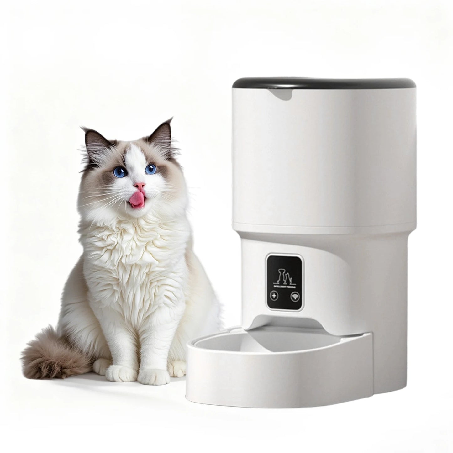 Programmable 4L Automatic Pet Feeder for Small Dogs or Cats, Up to 6 Meals Daily, Timer/Portion Control, Pet Feeding Food Dispenser