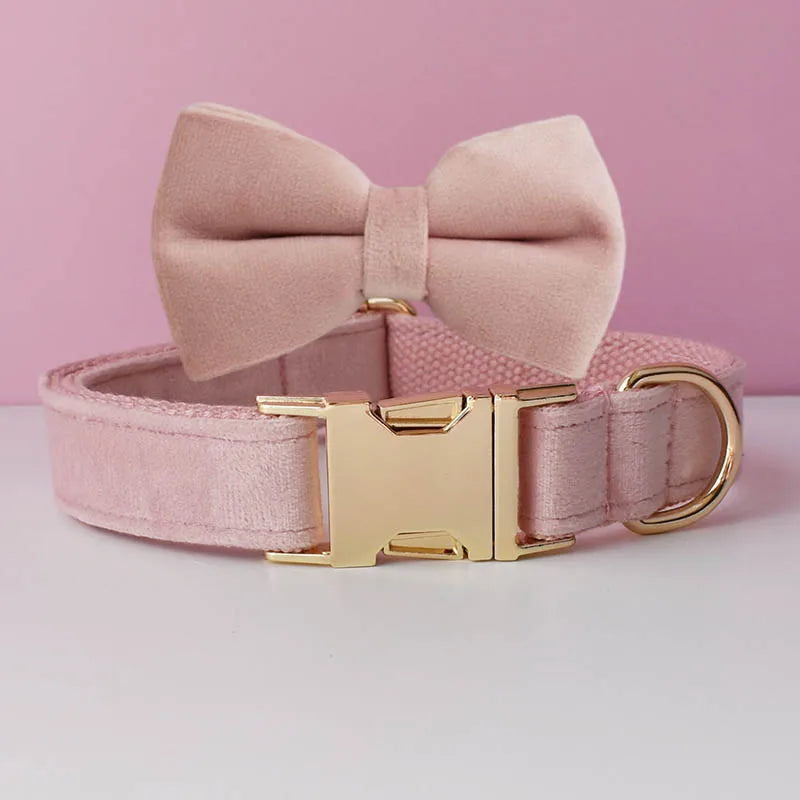Velvet Collar Free Engrave Dog Collar  & Leash - different types