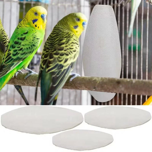 1-5Pcs Bird Cuttle Bone Pet Grinding Cuttlefish Bone Natural Parrot Chew Toy Chewing