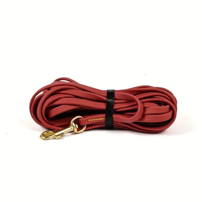 Dog Leash 5ft, 10ft, 20ft, 30ft, Waterproof Dog Leash for Medium and Large Dogs