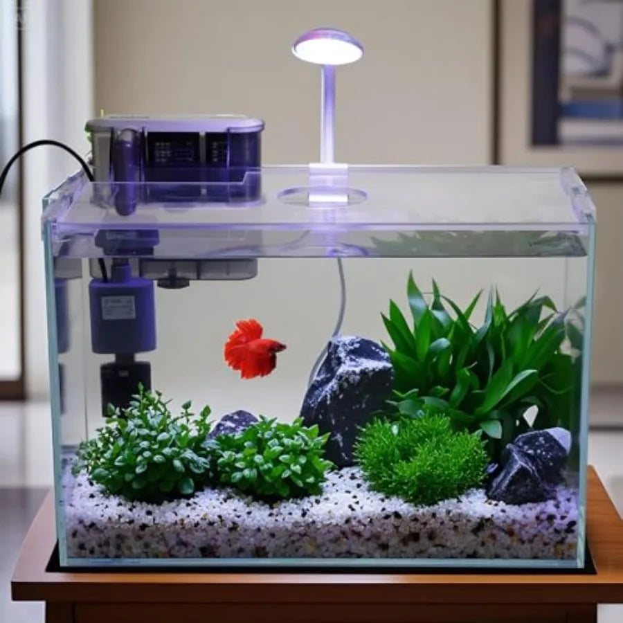 5 Gallon Glass Small Fish Tank with Filter Light and Lid Betta Aquarium Starter Kit