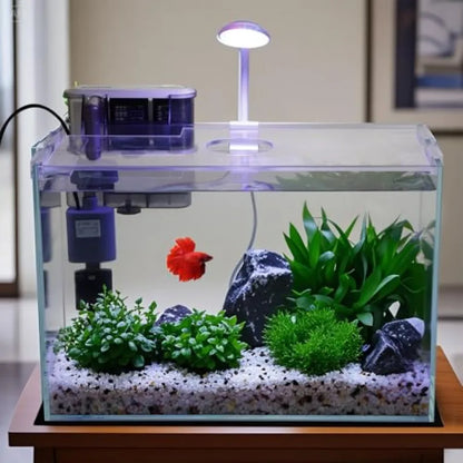 5 Gallon Glass Small Fish Tank with Filter Light and Lid Betta Aquarium Starter Kit