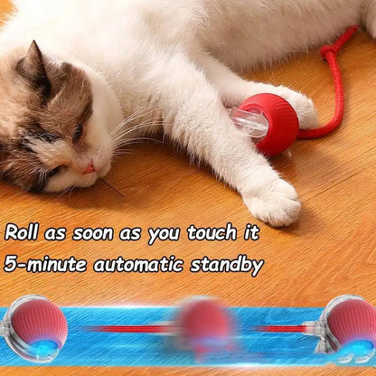Automatic Rolling Ball Dog Toy – Interactive Self-Moving Pet Toy, Multiple Colors